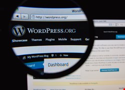Wordpress to Implement End-to-End SSL Encryption 